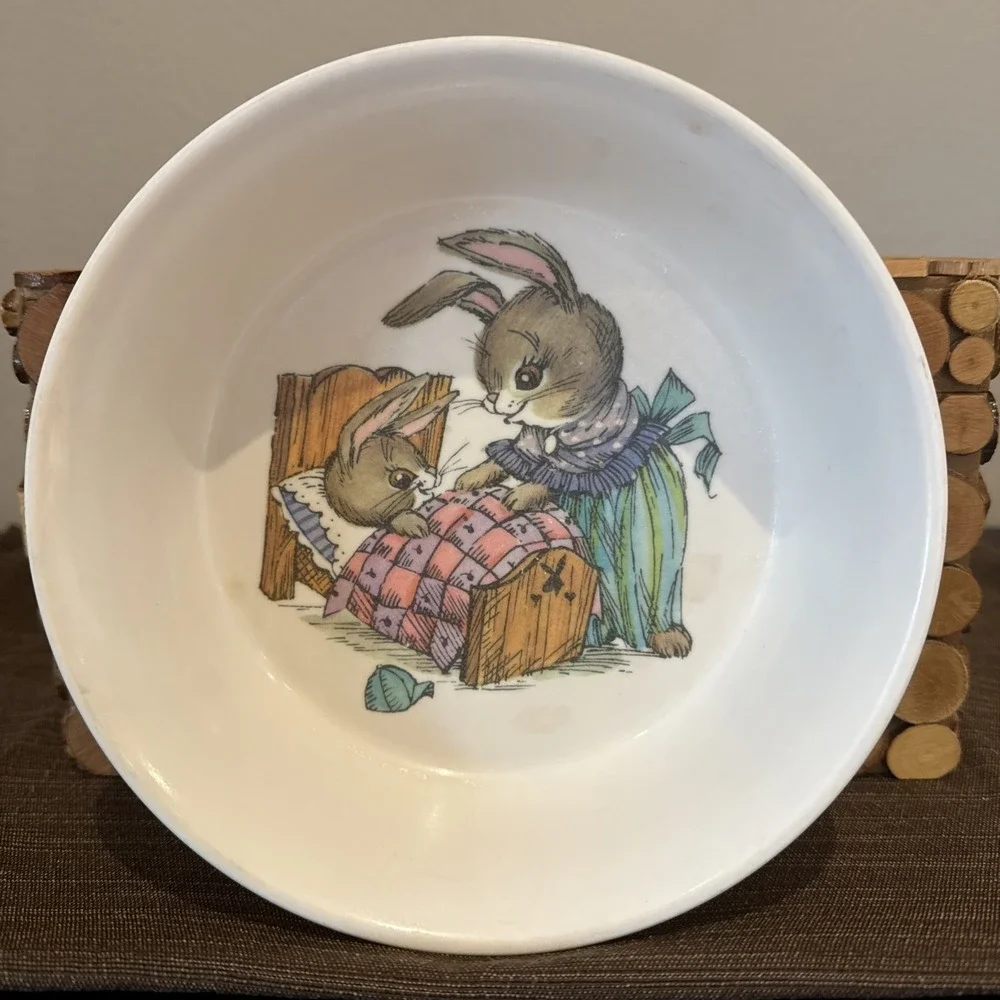 Vtg Oneida Deluxe 3243 Toddler Plastic Cereal Bowl Peter‎ Rabbit 6.5